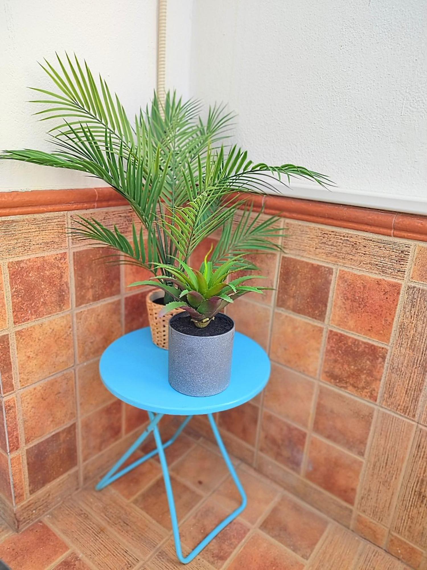 Apartamento Palm Tree House